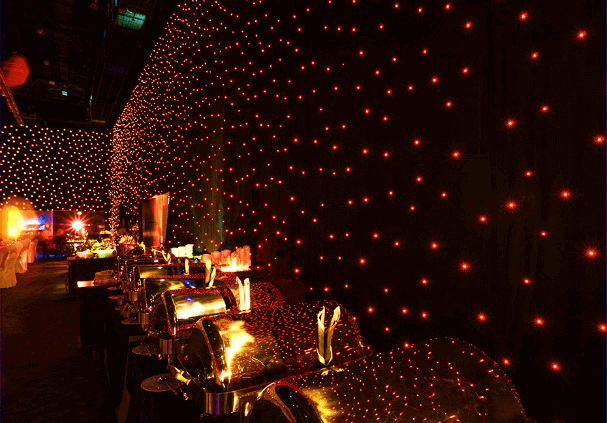 Chameleon Star Curtain
